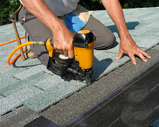 Best Roof Gutter Cleaning  in Melrose, MN
