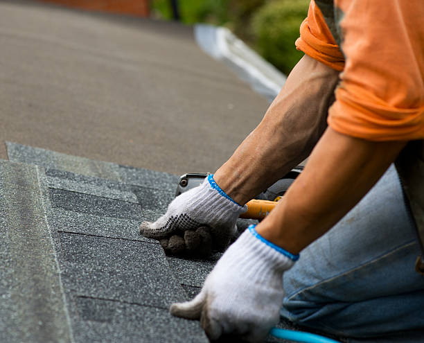 Quick and Trustworthy Emergency Roof Repair Services in Melrose, MN