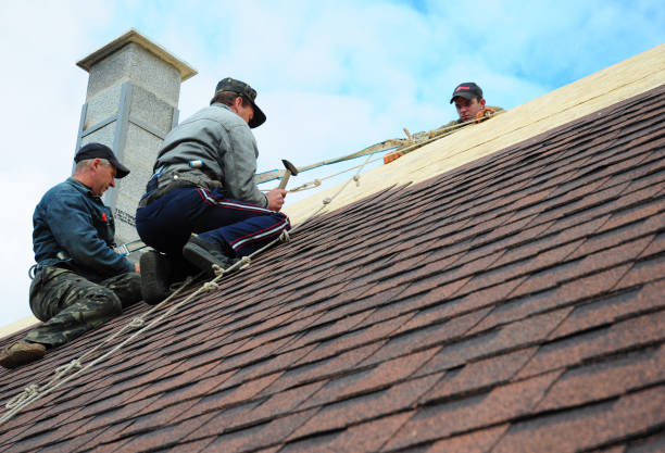 Best Residential Roofing Contractor  in Melrose, MN
